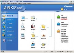 <b>金蝶KIS标准版（简单财务）</b>